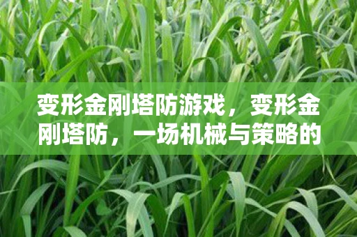 变形金刚塔防游戏,变形金刚塔防,一场机械与策略的盛宴 变形金刚塔防游戏,变形金刚塔防,一场机械与策略的盛宴