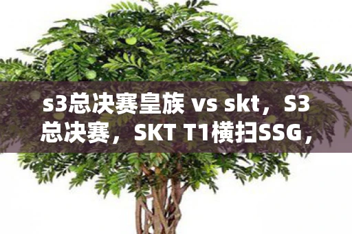 s3总决赛皇族 vs skt，S3总决赛，SKT T1横扫SSG，铸就传奇