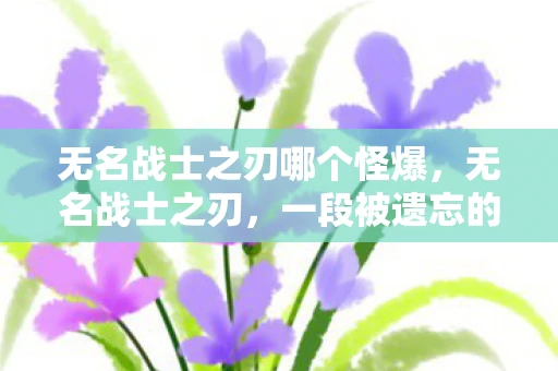 无名战士之刃哪个怪爆，无名战士之刃，一段被遗忘的传奇