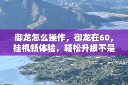 御龙怎么操作，御龙在60，挂机新体验，轻松升级不是梦