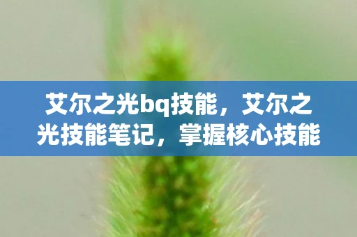 艾尔之光bq技能,艾尔之光技能笔记,掌握核心技能,提升战斗效率 艾尔之光bq技能,艾尔之光技能笔记,掌握核心技能,提升战斗效率