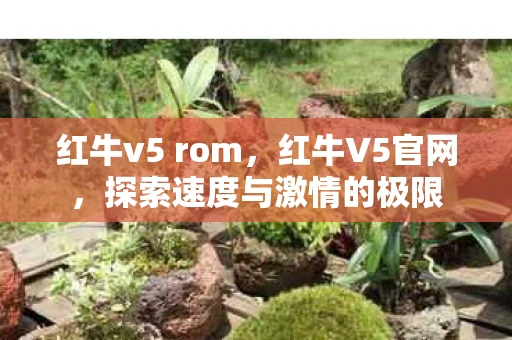 红牛v5 rom，红牛V5官网，探索速度与激情的极限