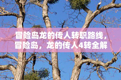 冒险岛龙的传人转职路线,冒险岛,龙的传人4转全解析 冒险岛龙的传人转职路线,冒险岛,龙的传人4转全解析