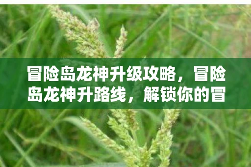 冒险岛龙神升级攻略，冒险岛龙神升路线，解锁你的冒险之旅