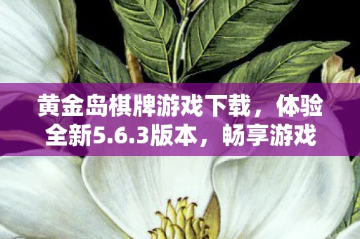 黄金岛棋牌游戏下载图片