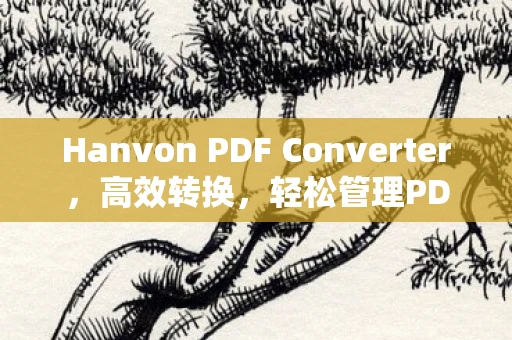 Hanvon PDF Converter，高效转换，轻松管理PDF文件