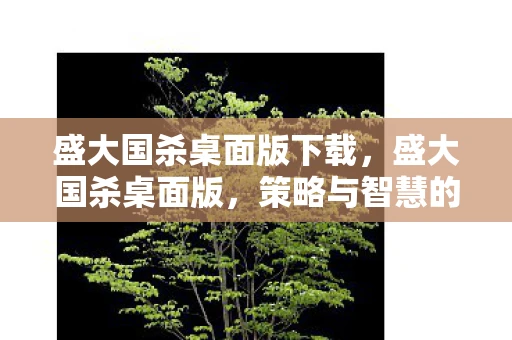 盛大国杀桌面版下载,盛大国杀桌面版,策略与智慧的碰撞 盛大国杀桌面版下载,盛大国杀桌面版,策略与智慧的碰撞