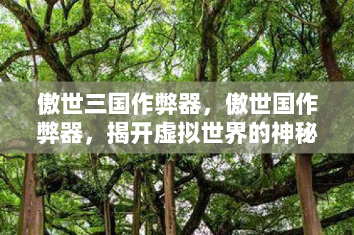 傲世三国作弊器，傲世国作弊器，揭开虚拟世界的神秘面纱