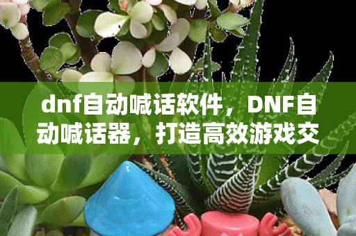 dnf自动喊话软件,DNF自动喊话器,打造高效游戏交流的利器 dnf自动喊话软件,DNF自动喊话器,打造高效游戏交流的利器