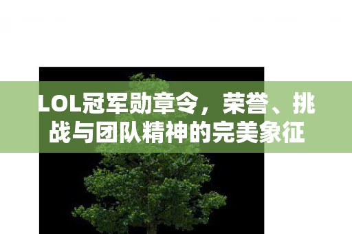 挑战与团队精神的完美象征图片