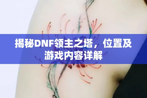揭秘DNF领主之塔图片