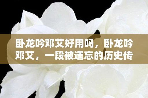 卧龙吟邓艾好用吗，卧龙吟邓艾，一段被遗忘的历史传奇