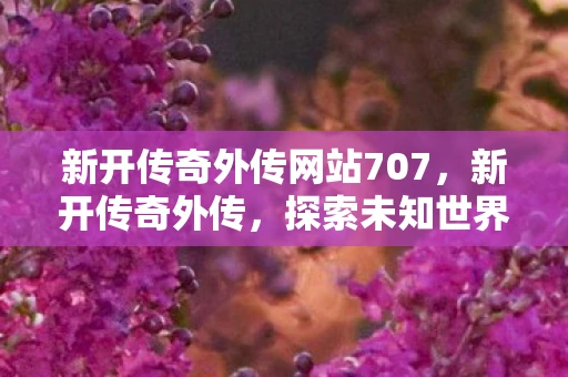 新开传奇外传网站707，新开传奇外传，探索未知世界的奇幻之旅