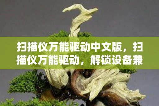 扫描仪万能驱动中文版，扫描仪万能驱动，解锁设备兼容性的秘密武器