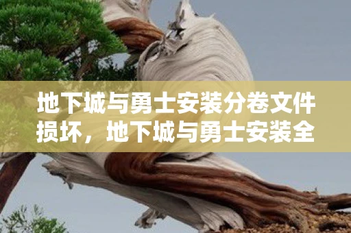 地下城与勇士安装分卷文件损坏，地下城与勇士安装全攻略，从零开始，轻松上手