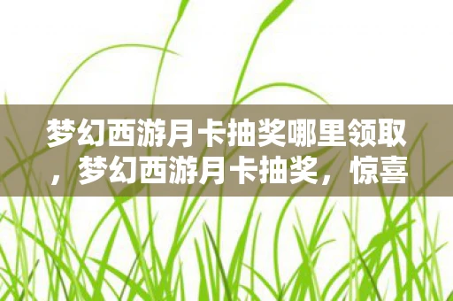 梦幻西游月卡抽奖哪里领取，梦幻西游月卡抽奖，惊喜与期待的交汇点