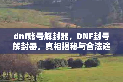 dnf账号解封器，DNF封号解封器，真相揭秘与合法途径探讨