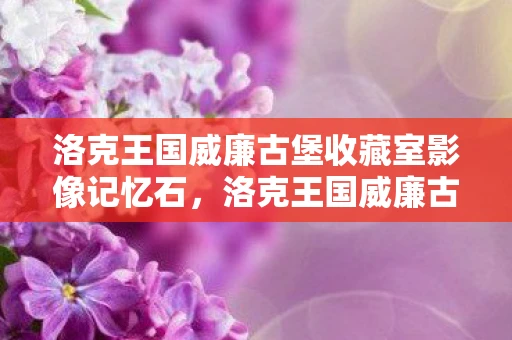 洛克王国威廉古堡收藏室影像记忆石,洛克王国威廉古堡收藏室,探索神秘宝藏的奇幻之旅 洛克王国威廉古堡收藏室影像记忆石,洛克王国威廉古堡收藏室,探索神秘宝藏的奇幻之旅