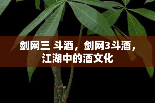 剑网三 斗酒，剑网3斗酒，江湖中的酒文化