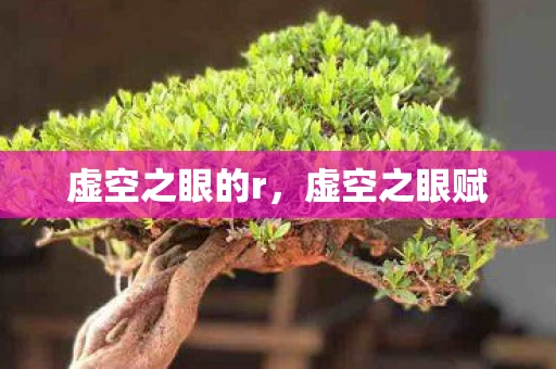 虚空之眼的r，虚空之眼赋