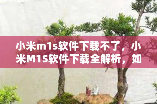 小米m1s软件下载不了，小米M1S软件下载全解析，如何安全、高效获取官方及第三方应用