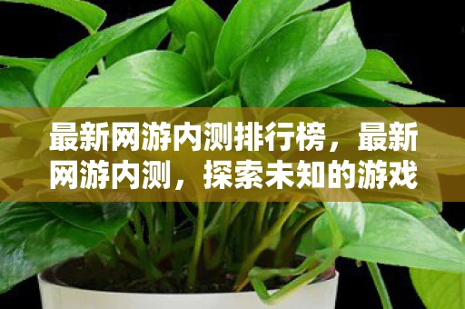 最新网游内测排行榜,最新网游内测,探索未知的游戏世界 最新网游内测排行榜,最新网游内测,探索未知的游戏世界