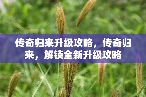 传奇归来升级攻略,传奇归来,解锁全新升级攻略 传奇归来升级攻略,传奇归来,解锁全新升级攻略