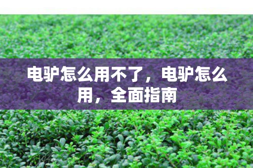 电驴怎么用不了，电驴怎么用，全面指南