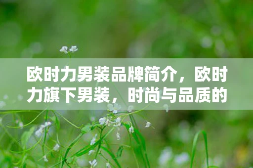 欧时力男装品牌简介,欧时力旗下男装,时尚与品质的完美融合 欧时力男装品牌简介,欧时力旗下男装,时尚与品质的完美融合