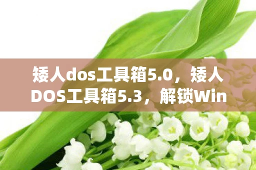 矮人dos工具箱5.0，矮人DOS工具箱5.3，解锁Windows系统的神秘钥匙