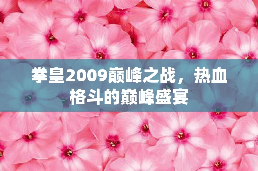 拳皇2009巅峰之战图片
