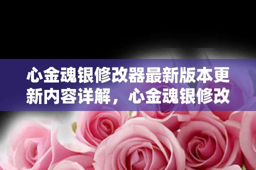 心金魂银修改器最新版本更新内容详解，心金魂银修改器，解锁游戏新境界的神奇工具