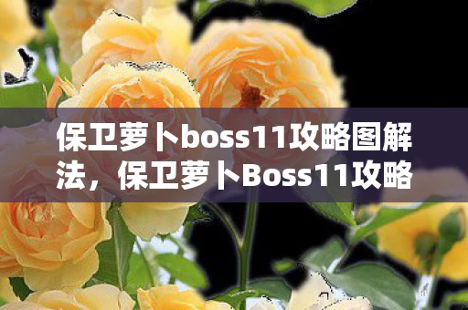 保卫萝卜boss11攻略图解法,保卫萝卜Boss11攻略,策略与技巧全解析 保卫萝卜boss11攻略图解法,保卫萝卜Boss11攻略,策略与技巧全解析