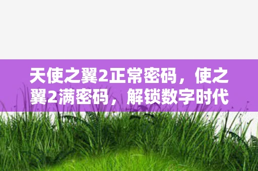 天使之翼2正常密码，使之翼2满密码，解锁数字时代的无限可能