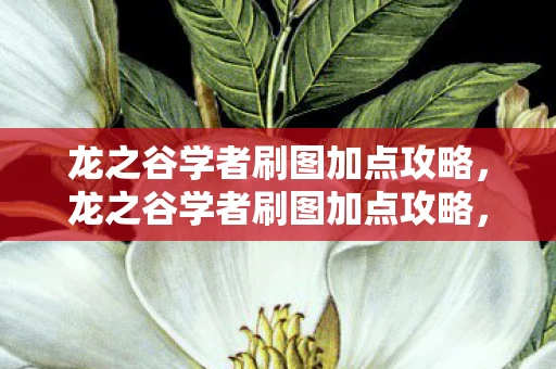 龙之谷学者刷图加点攻略,龙之谷学者刷图加点攻略,打造高效学者角色 龙之谷学者刷图加点攻略,龙之谷学者刷图加点攻略,打造高效学者角色