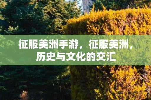 征服美洲手游，征服美洲，历史与文化的交汇