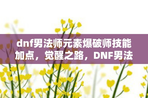 dnf男法师元素爆破师技能加点，觉醒之路，DNF男法师元素爆破师的华丽绽放