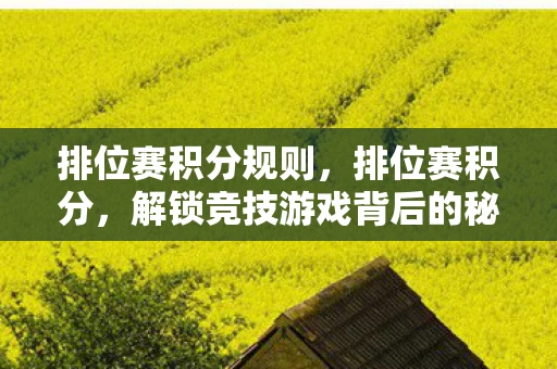 排位赛积分规则，排位赛积分，解锁竞技游戏背后的秘密