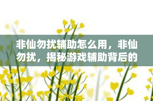 非仙勿扰辅助怎么用，非仙勿扰，揭秘游戏辅助背后的真相