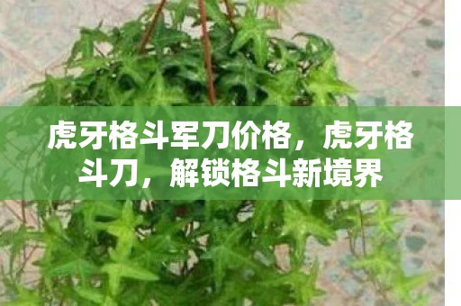 虎牙格斗军刀价格,虎牙格斗刀,解锁格斗新境界 虎牙格斗军刀价格,虎牙格斗刀,解锁格斗新境界
