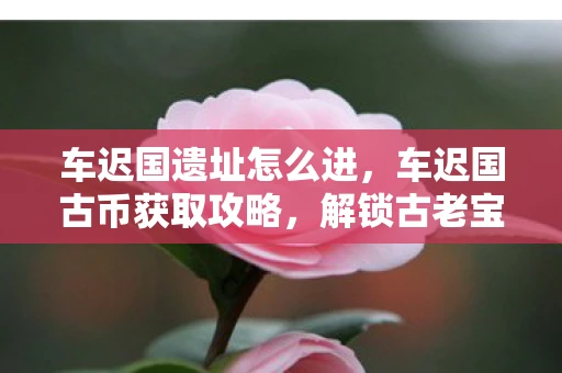 车迟国遗址怎么进，车迟国古币获取攻略，解锁古老宝藏的钥匙