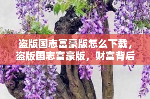 盗版国志富豪版怎么下载,盗版国志富豪版,财富背后的灰色阴影 盗版国志富豪版怎么下载,盗版国志富豪版,财富背后的灰色阴影