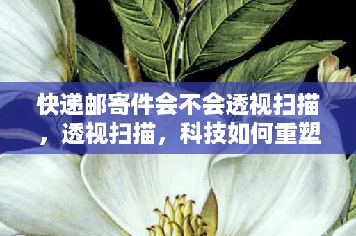 快递邮寄件会不会透视扫描,透视扫描,科技如何重塑我们的未来 快递邮寄件会不会透视扫描,透视扫描,科技如何重塑我们的未来