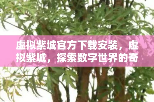 虚拟紫城官方下载安装，虚拟紫城，探索数字世界的奇幻之旅