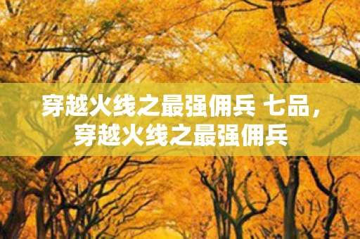 穿越火线之最强佣兵 七品，穿越火线之最强佣兵