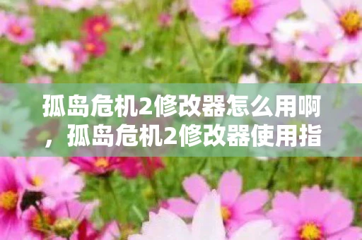 孤岛危机2修改器怎么用啊，孤岛危机2修改器使用指南，轻松提升游戏体验