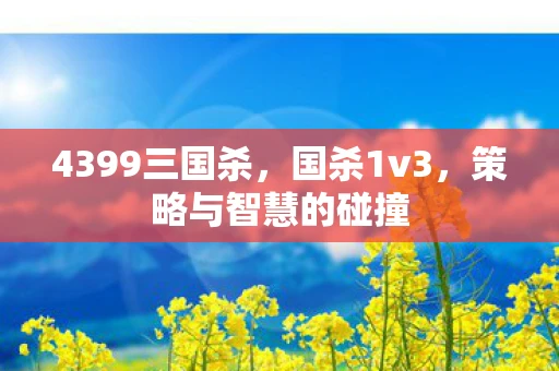 4399三国杀，国杀1v3，策略与智慧的碰撞