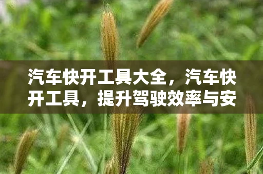 汽车快开工具大全，汽车快开工具，提升驾驶效率与安全的智能助手