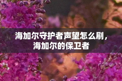 海加尔守护者声望怎么刷，海加尔的保卫者