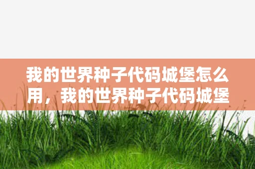 我的世界种子代码城堡怎么用,我的世界种子代码城堡,探索神秘城堡的奇妙之旅 我的世界种子代码城堡怎么用,我的世界种子代码城堡,探索神秘城堡的奇妙之旅